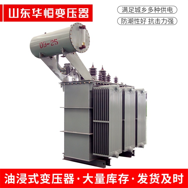 S11-10000/35右玉右玉右玉电力变压器厂家