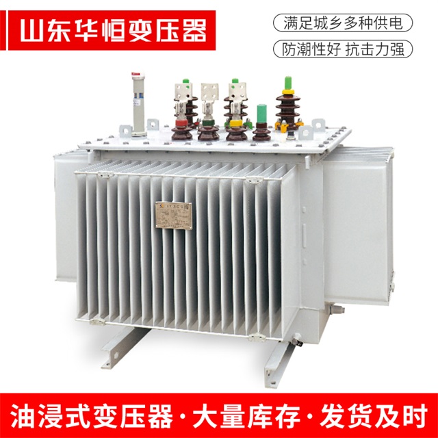 S13-10000/35右玉右玉右玉电力变压器